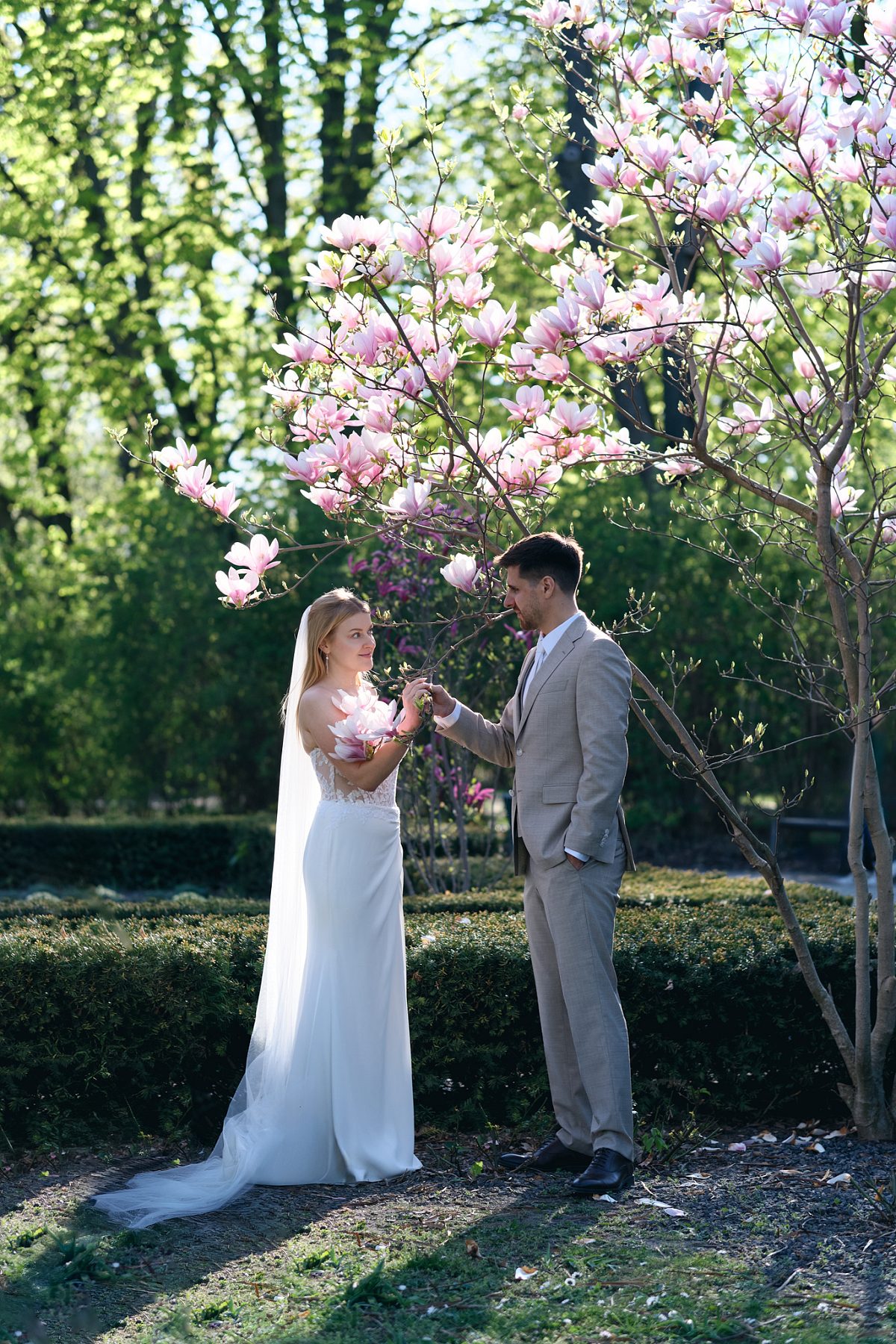 The bride and groom stand beneath a blooming magnolia tree in the garden.